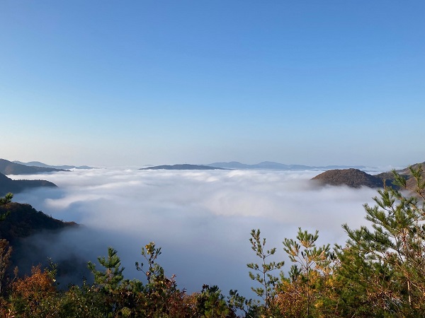 雲海