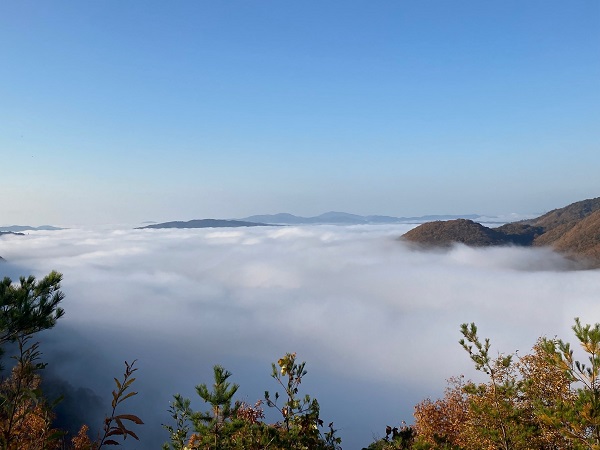 雲海