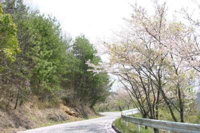 岡山　藤公園