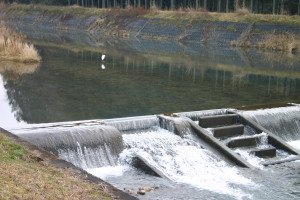 和気町吉井川