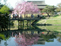 日本三名園　岡山後楽園