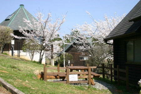 コテージ　春風景