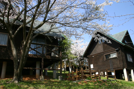 コテージ　春風景